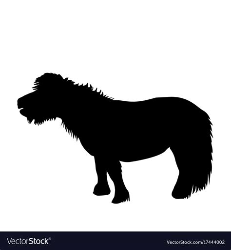 Black Pony Silhouette Royalty Free Vector Image