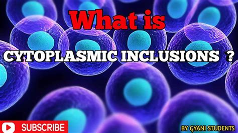 What Is Cytoplasmic Inclusion Or What Is Cell Inclusion By Gyani