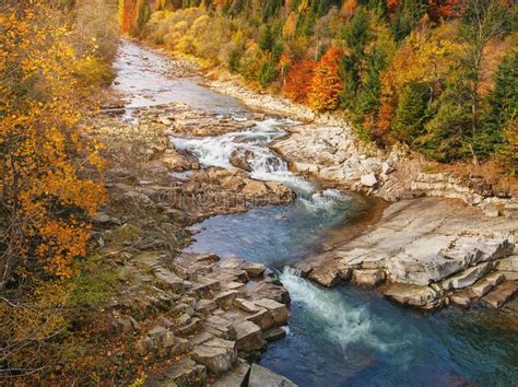 Rapid Mountain River Autumn Forest Scenic Mountain Landscape Stock