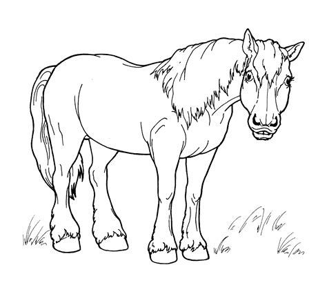 Coloring Page Horse For A Walk