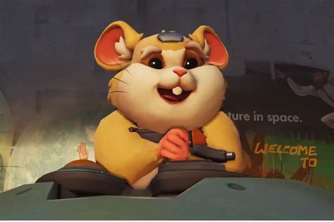 Overwatchs Next Hero Is Hammond A Chubby Hamster Polygon