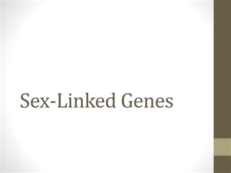 Ppt Sex Linked Genes Powerpoint Presentation Free Download Id2125518