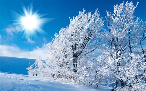 Sunny winter day on a cold season - HD wallpaper Wallpaper Download ...