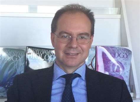 Antonio costanzo is the ceo & founder at baboul. Trasformazione neoplastica dei cheratinociti e ...