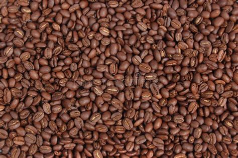 Coffee Grains Stock Photo Image Of Structure Dark Coffee 13389932
