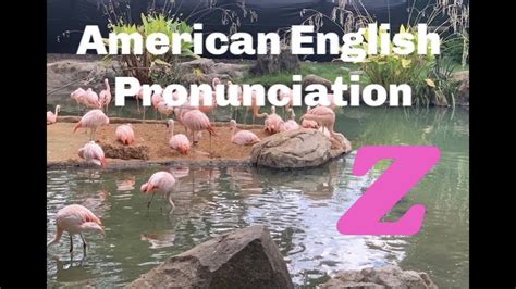 Pronouncing The Letter Z American English Pronunciation Accent
