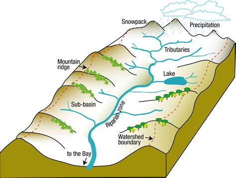What Is A Watershed The Watershed Project