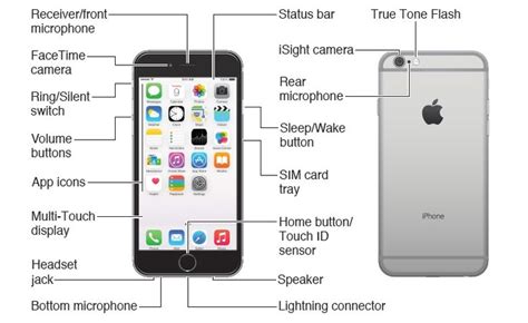 Schematic iphone 6, 6 plus, 6s y 6s plus. 102 best images about free schematics on Pinterest | Colt python, Mossberg 500 and Charger