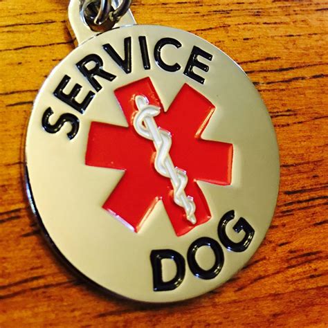 To increase the odds of a safe return, here is some information you should put on your dog's tags and considerations you need to think about. DOUBLE SIDED SERVICE DOG with Red Medical Alert Symbol 1 ...