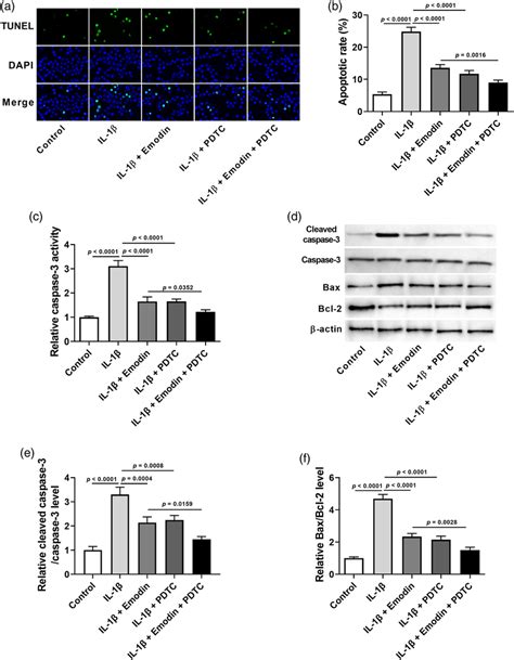 Inhibition Of Nf B Aggravated The Effect Of Emodin On Il Induced