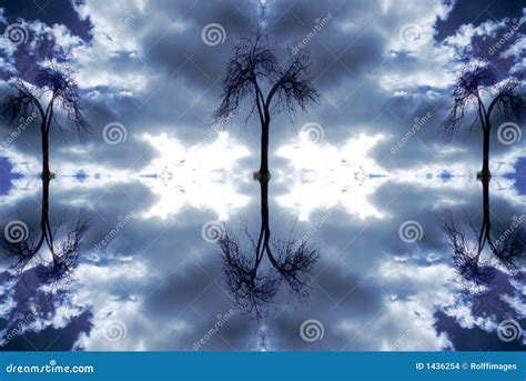 3 Trees Stock Photo Image Of Water Dream Trees Fantasy 1436254