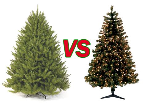 Real Vs Fake Christmas Trees Melissa And Debra Square Off