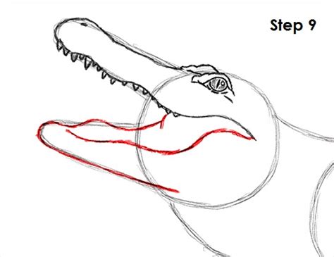How To Draw An Alligator Video And Step By Step Pictures