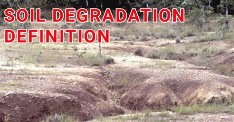 Soil Erosion Definition Types Causes And Prevention