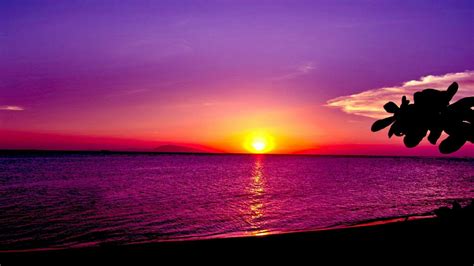 Download Ocean Sun Purple Sky Nature Sunset Hd Wallpaper