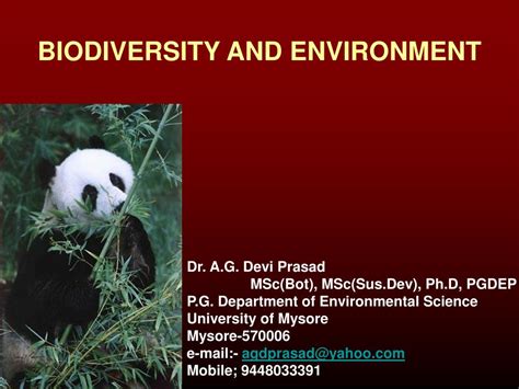 Ppt Biodiversity And Environment Powerpoint Presentation Free