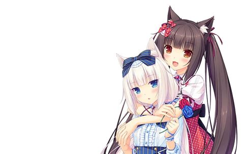 3840x2160px 4k Free Download Kawaii Girl Nothing Anime Cat