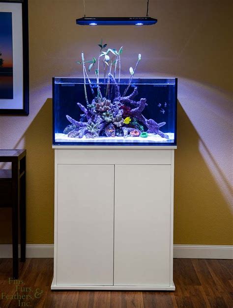 Innovative Marine 25 Gallon Fusion Lagoon Aquarium W High Gloss Stand