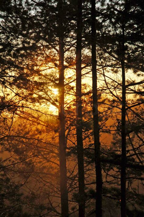 Early Mist Morning And Beautiful Sunrise Stock Image Colourbox