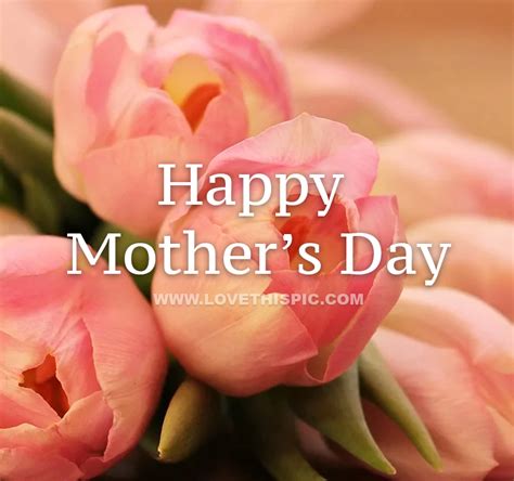 Tulip Happy Mothers Day Quote Pictures Photos And Images For