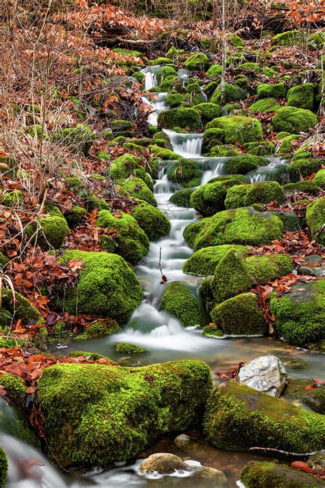 Ozark Mountain Stream Along The Lost Valley Trail Photograph By Gregory