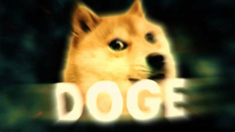 1080 X 1080 Doge 200 Luxury Doge 1080x1080 For You Left Of The Hudson Fakeczup Wall