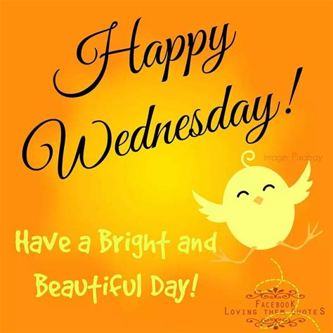 Happy Wednesday Wednesday Morning Images Wednesday Quotes And Images