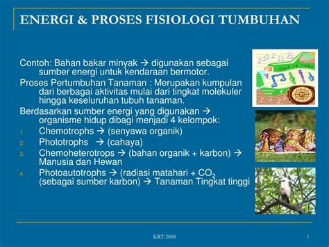 PPT ENERGI PROSES FISIOLOGI TUMBUHAN PowerPoint Presentation ID