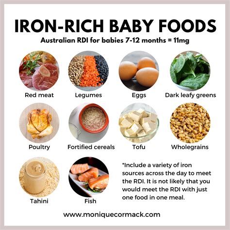 Iron Rich Foods For Babies — Monique Cormack Nutrition