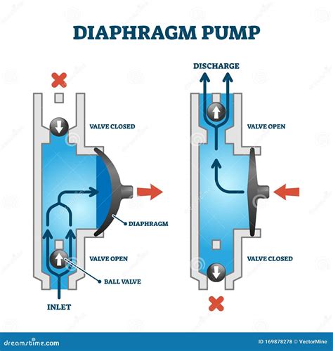 Diaphragm Or Membrane Pump Working Process Diagram Example Drawing