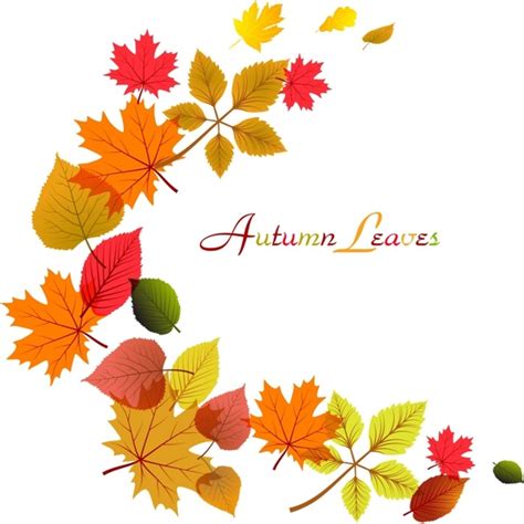 Flowing Autumn Leaves Frame Free Vector In Adobe Illustrator Ai Ai