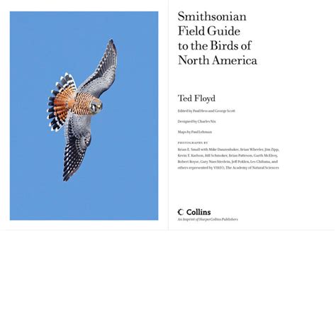 Smithsonian Field Guide To The Birds Of North America Scott And Nix