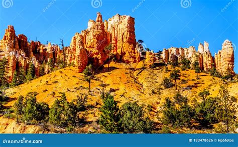 Vermilion Colored Pinnacles And Hoodoos Around The Mossy Cave Hiking