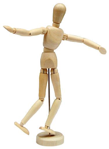 Wooden Human Model Anatomi