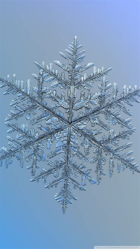 Beautiful Wallpaper Beautiful Snowflake Magnified Wallpaper 1080x1920