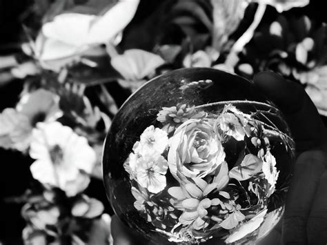 Flowers In A Lensball Photograph By Natalie Hardwicke Fine Art America