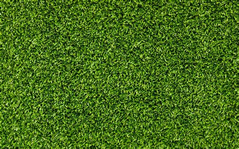 Grass Vinyl Flooring Nature Idea