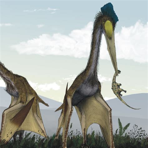 Pterosaurs Should Have Been Too Big To Fly