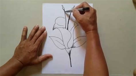 Https://tommynaija.com/draw/how To Draw A Bell Shaped Flower