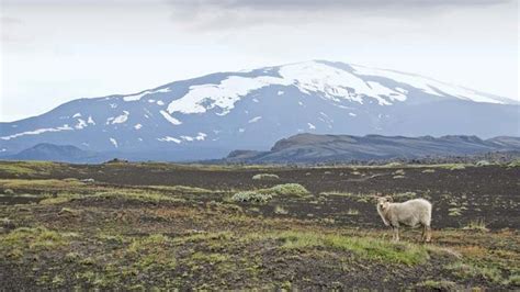 Hekla Volcano Iceland Britannica