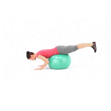Bent Knee Swiss Ball Reverse Hip Raise Exercise Video Guide Muscle