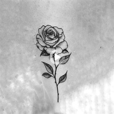 Redirecting In 2021 Small Rose Tattoo Body Art Tattoos Rose Drawing