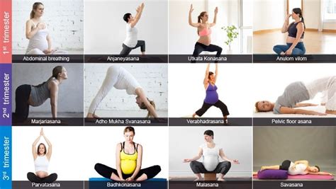 Importance Of Yoga During Pregnancy The Wellness Corner