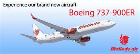 The 737 max 8 was delivered at boeing's seattle delivery center in washington state on may 16th. Malindo Air to launch operations on two routes on March 22 ...