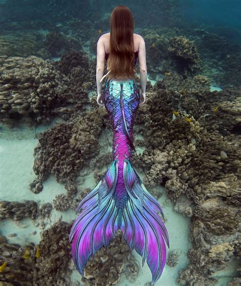 ️finfolk Produktion ️ Mermaid Photography Silicone Mermaid Tails Realistic Mermaid Tails