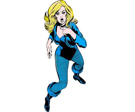 Black Canary Dc Comics The 1970s Part 1 Of 2 Character Profile
