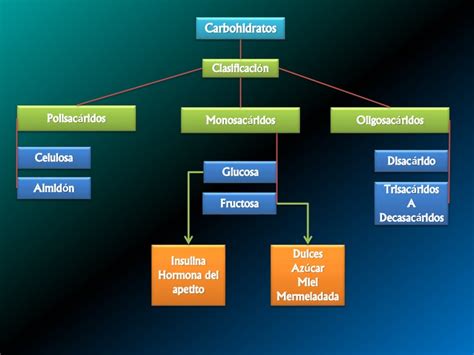 Mapa conceptual de carbohidratos Guía paso a paso