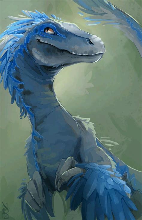 Blue The Raptor Wallpapers Wallpaper Cave
