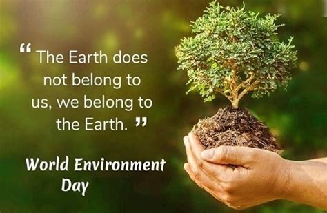 Paryavaran Diwas Photo 2023 Happy World Environment Day Images Hd Picture