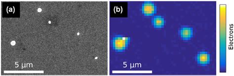 A Sem Image Of An Overview Of 5 Gold Nanosponges And B